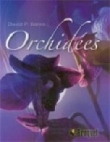 Orchidées