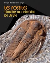 Les fossiles- Témoins de l'histoire de la vie