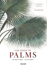 The book of palms - Le livre des palmiers